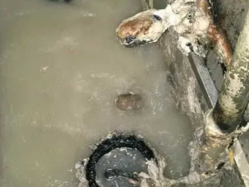 嘉善杨庙化粪池清理 管道疏通 下水道疏通
